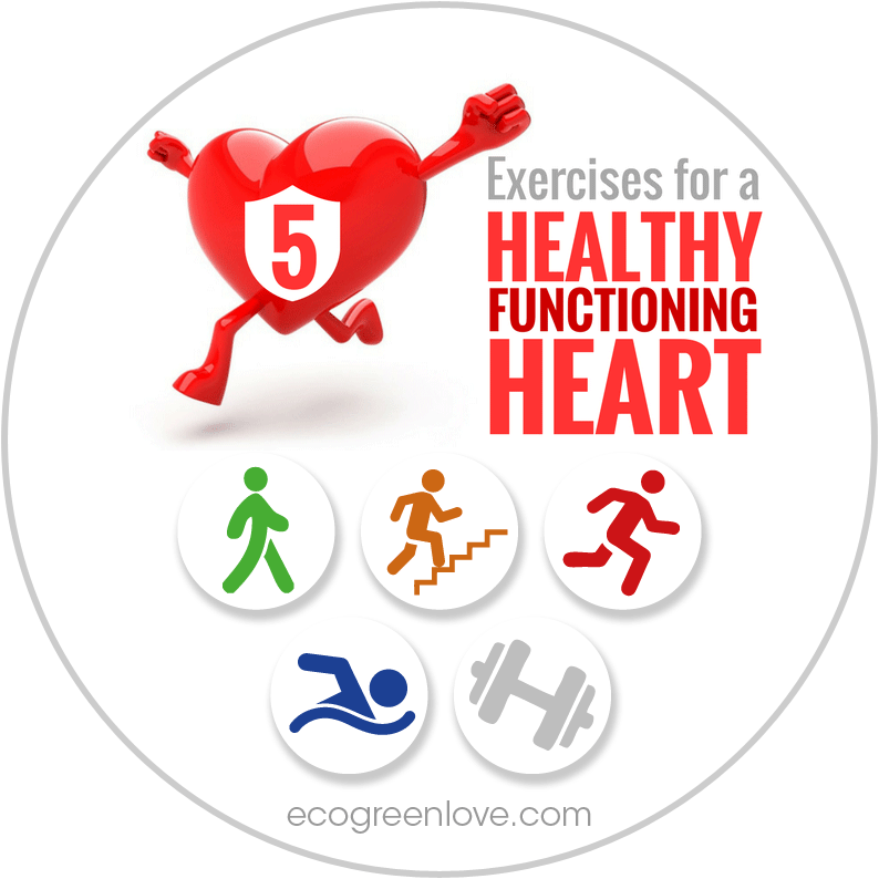 Best Exercises for a Healthy Heart | ecogreenlove