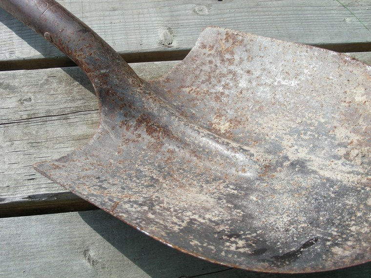 6 Essential Tools for Gardeners | ecogreenlove