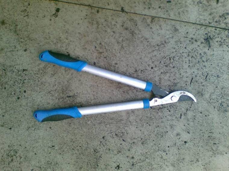 6 Essential Tools for Gardeners | ecogreenlove