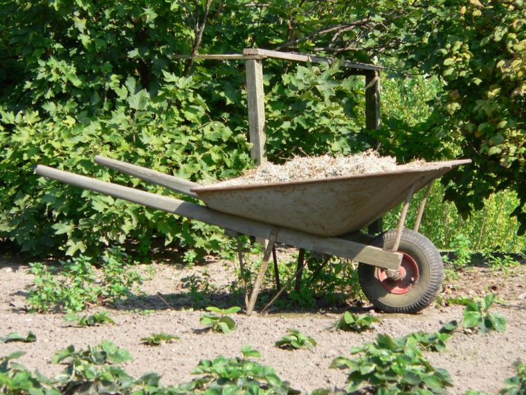 6 Essential Tools for Gardeners | ecogreenlove