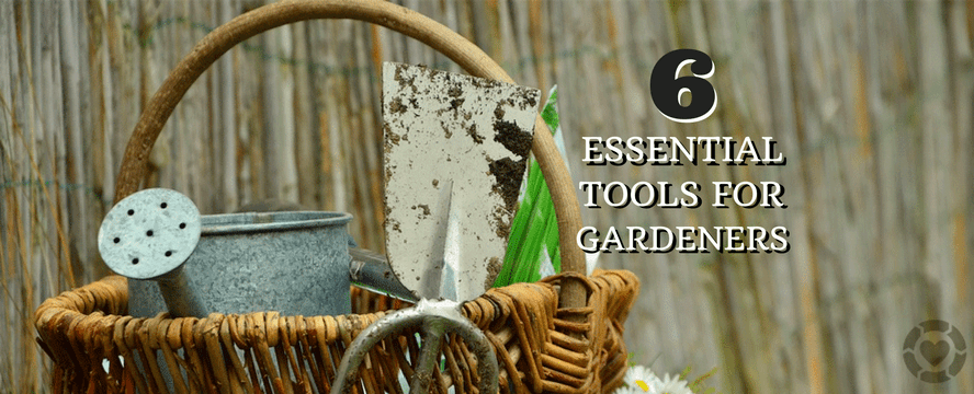 6 Essential Tools for&nbsp;Gardeners