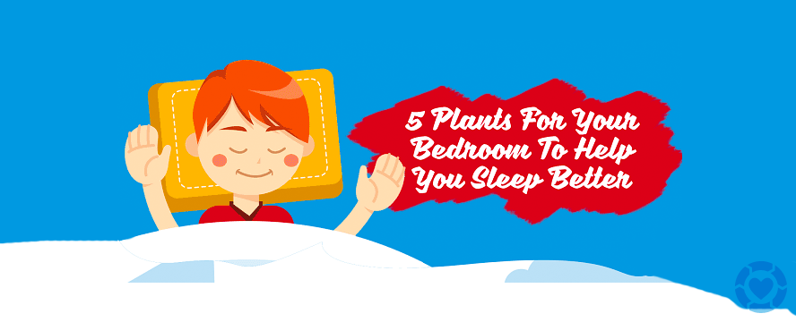 Plants to help you Sleep Better&nbsp;[Infographic]