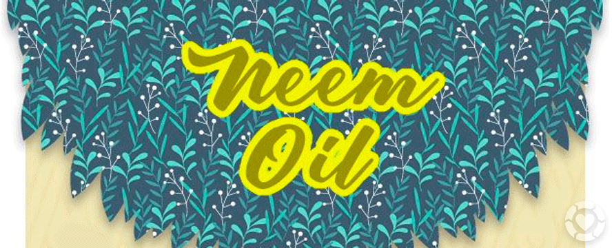 Neem Oil uses&nbsp;[Infographic]