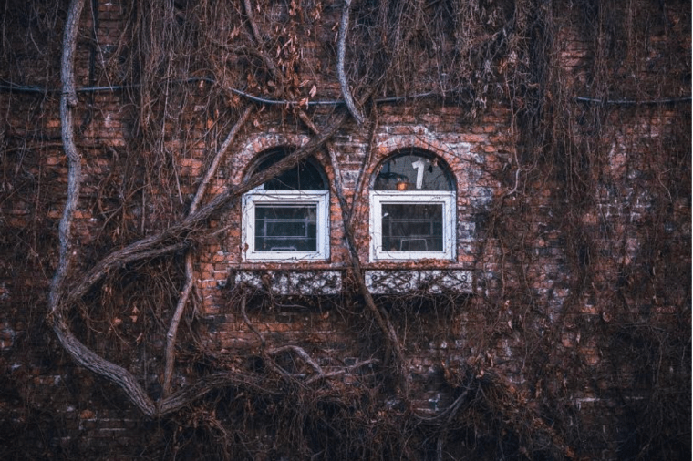 Are you aware of Sick Building Syndrome? | ecogreenlove