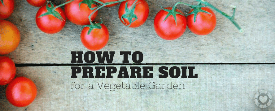 How to prepare Soil for a Vegetable&nbsp;Garden