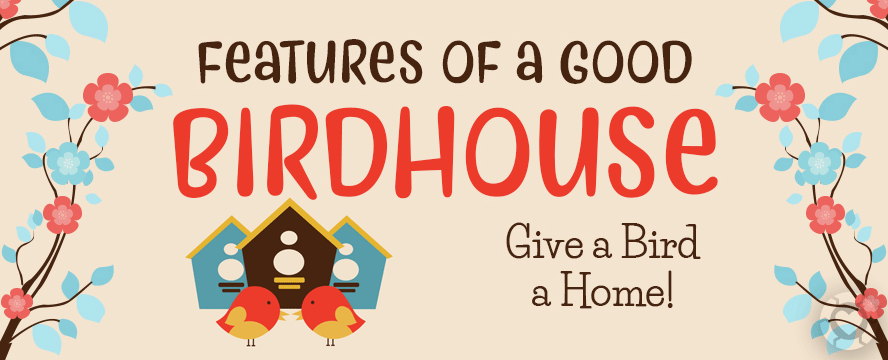 Building the perfect Birdhouse [Infographic] | ecogreenlove