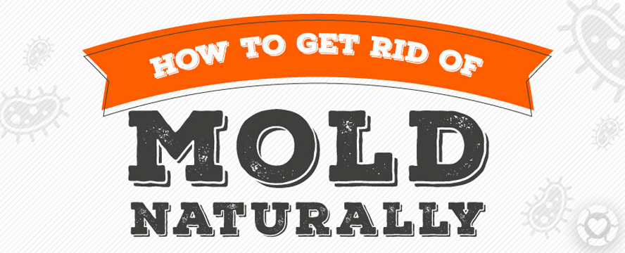 How to Remove Mold naturally [Infographic] | ecogreenlove
