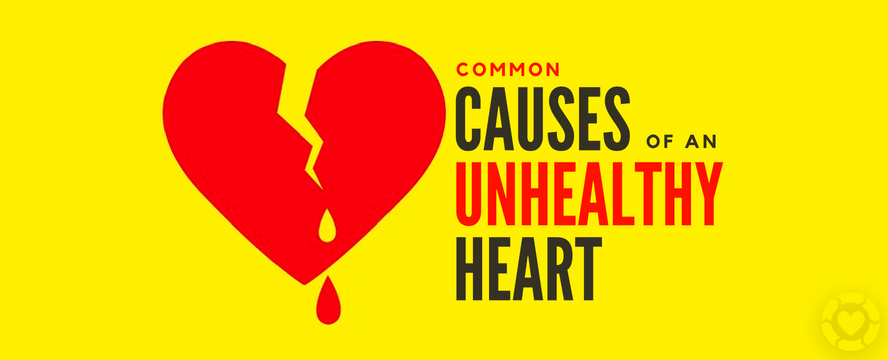 Common Causes of an Unhealthy Heart [Fact Sheet] | ecogreenlove