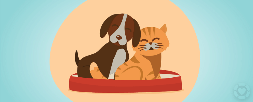 Happy Pets: How to Protect your Pets from&nbsp;Parasites