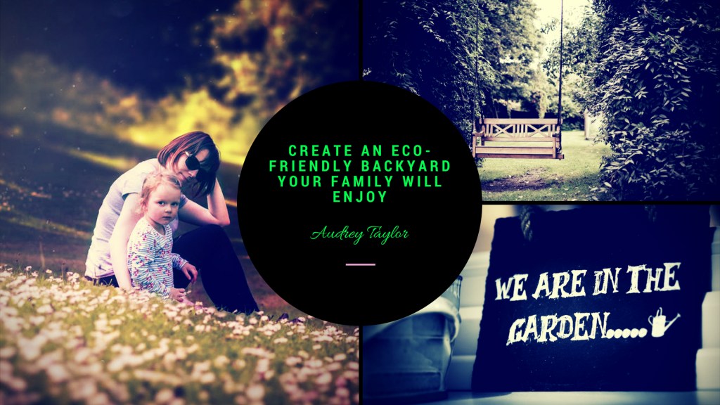 DIY Eco-Friendly Backyard