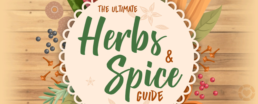 The Ultimate Herbs & Spice Guide [Infographic] | ecogreenlove
