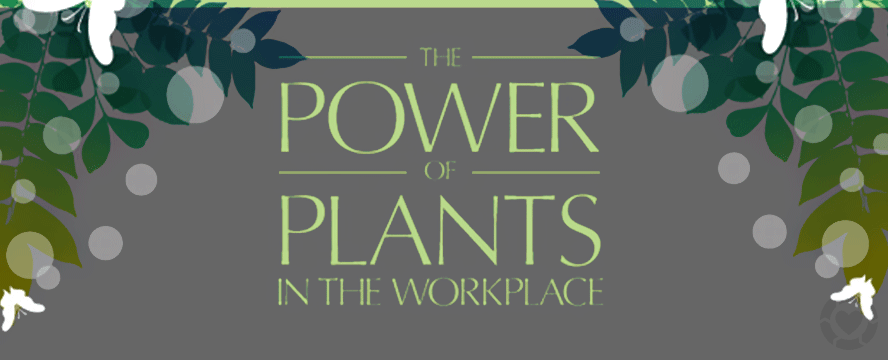 The power of plants in the workplace&nbsp;[Infographic]