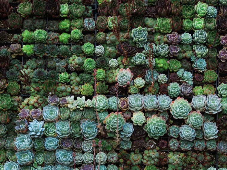 Enhance Sustainability of your Home with these Eco Upgrades | ecogreenlove