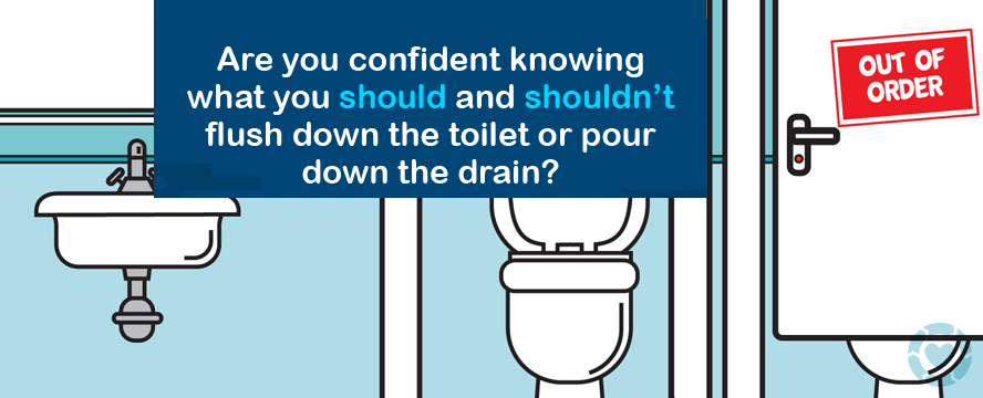 What the Flush!&nbsp;[Infographics]