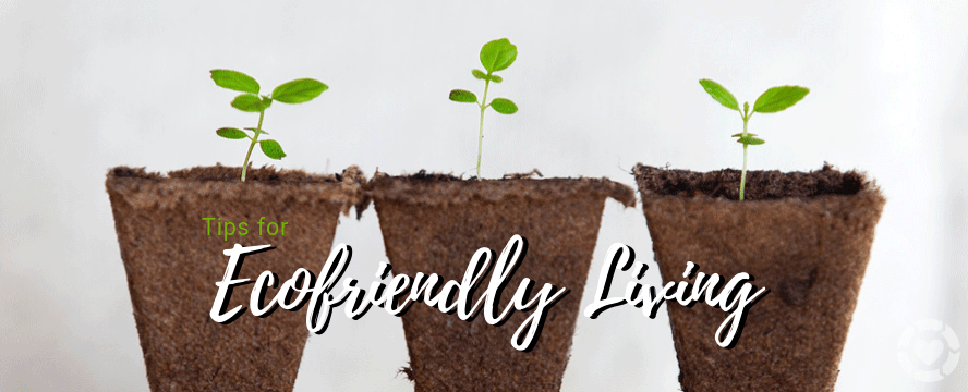 5 Tips for Eco-friendly&nbsp;Living
