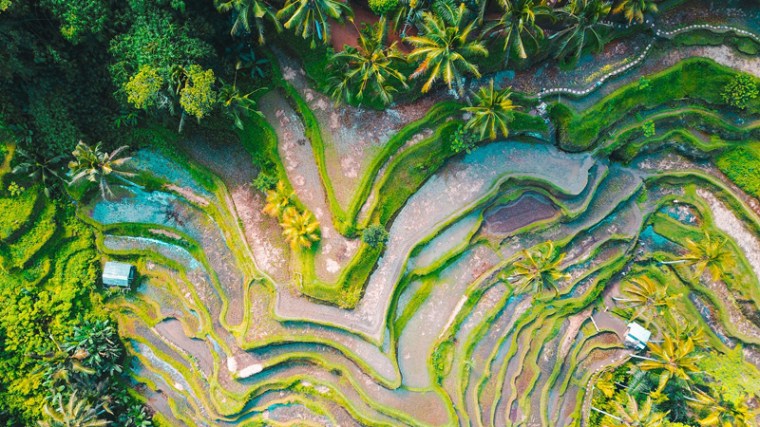 5 Tips for Eco-friendly Living | ecogreenlove 5 Tips for Eco-friendly Living | ecogreenlove