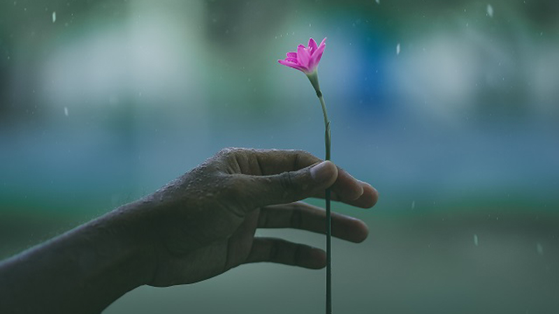 5 Tips for Eco-friendly Living | ecogreenlove