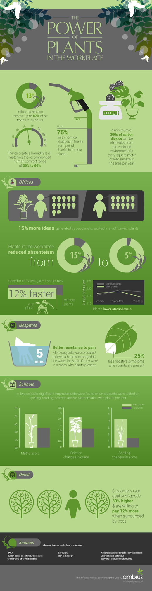 The power of plants in the workplace [Infographic] | ecogreenlove