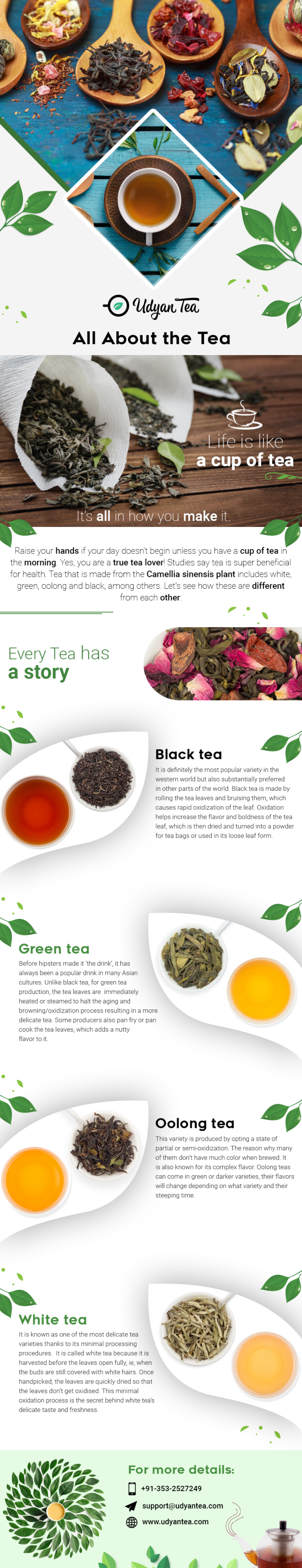 All About the Tea [Infographic] | ecogreenlove