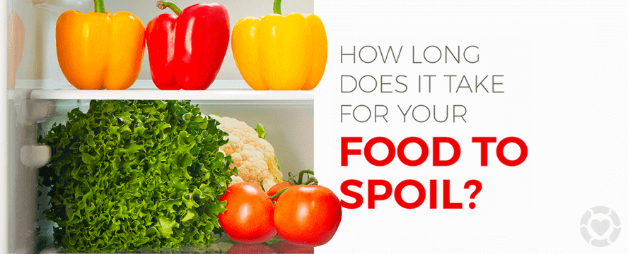 How long does it take Food to Spoil? [Infographic] | ecogreenlove