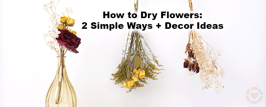How to Dry Flowers: 2 Simple Ways + Decor Ideas&nbsp;[Visuals]