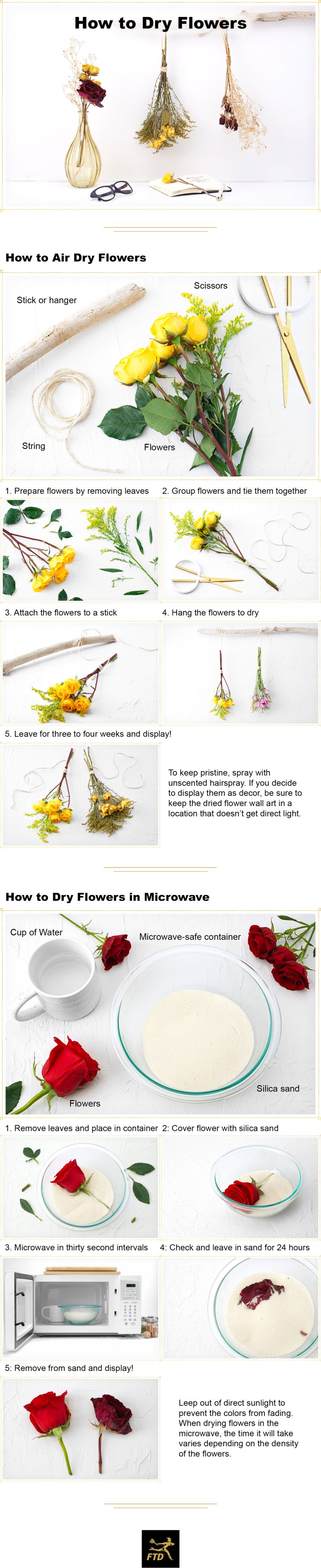 How to Dry Flowers: 2 Simple Ways + Decor Ideas [Visuals] | ecogreenlove