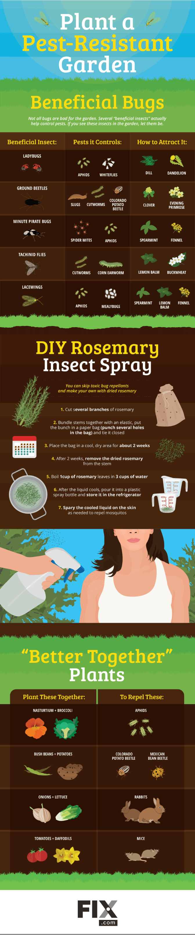 Plant a Pest-Resistant Garden [Infographic] | ecogreenlove