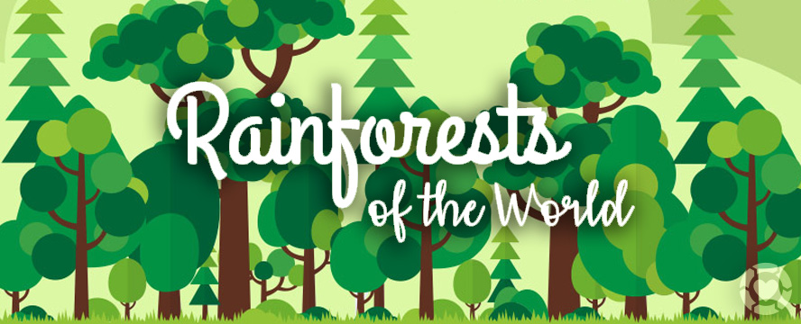 Rainforests of the World [Infographic]