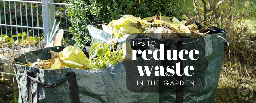 7 Tips for reducing Waste in your&nbsp;Garden