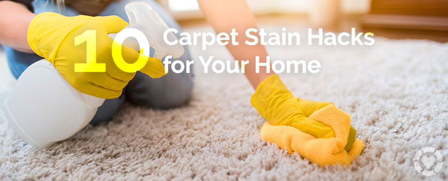 Stain Removal Hacks [Infographic] | ecogreenlove