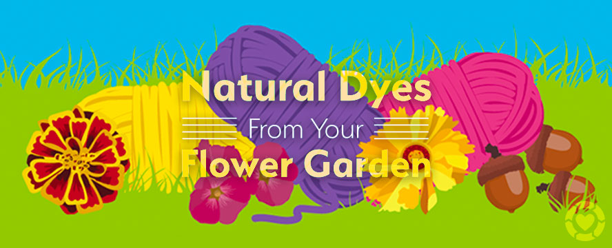Natural Dyes from your Flower Garden&nbsp;[Infographic]