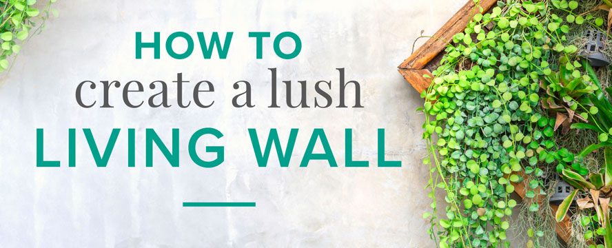The Benefits of a Plant Wall [Infographic] | ecogreenlove