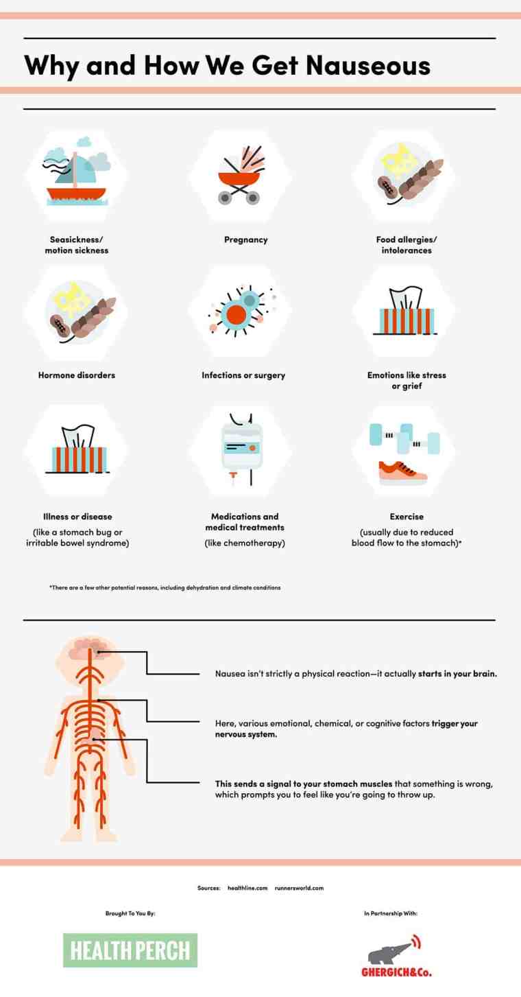 Why you feel Nauseous & Foods that Stop it [Infographic] | ecogreenlove