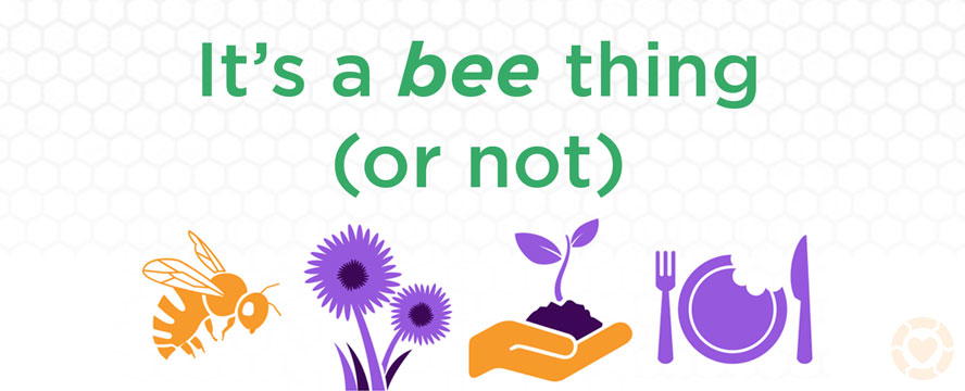 Why should you care about Pollinators [Infographic] | ecogreenlove