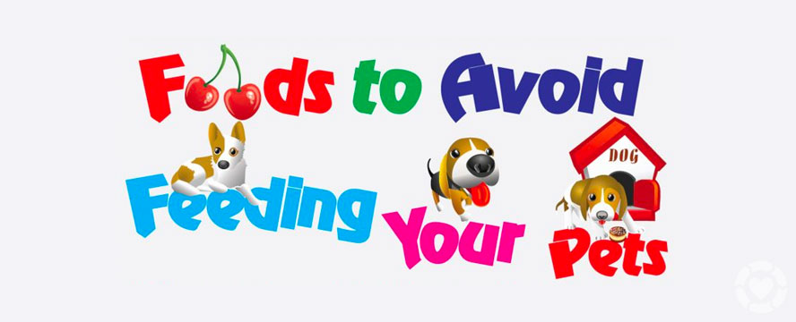 Foods to Avoid feeding your Pets [Infographic] | ecogreenlove