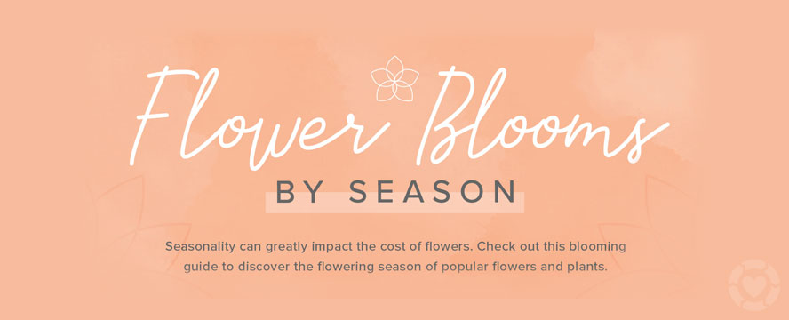 Flower blooms by Season [Visual] | ecogreenlove