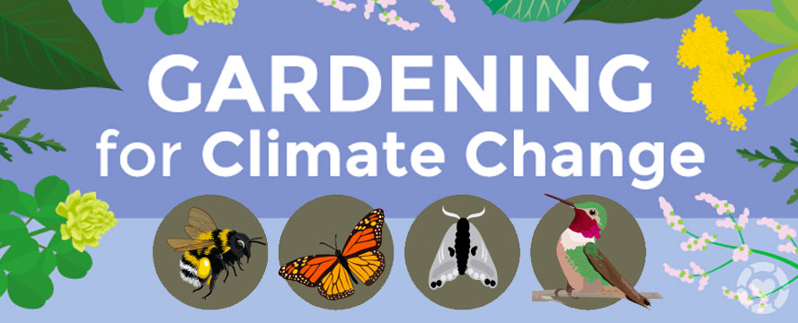 Gardening for Climate Change [Visual] | ecogreenlove