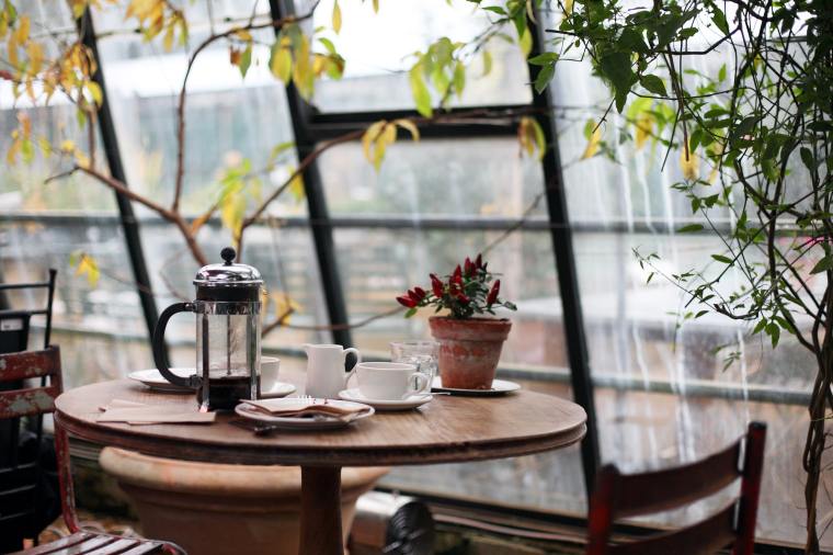 Make your Coffee Shop more Sustainable | ecogreenlove