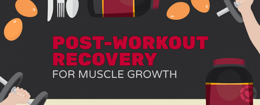 Post-Workout Recovery for Muscle Growth [Visual]