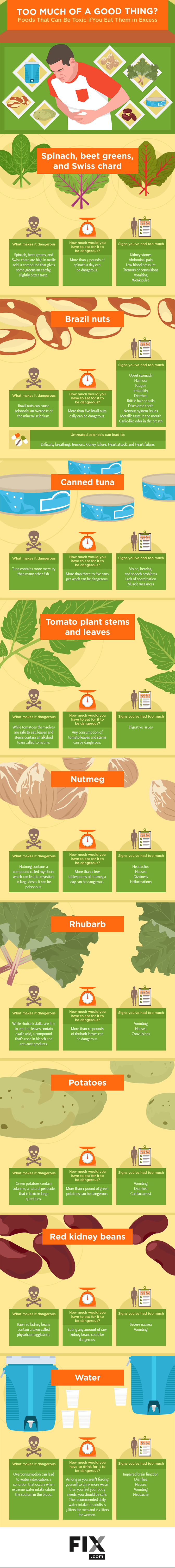 Foods that can be Toxic if you eat them in Excess [Visual] | ecogreenlove