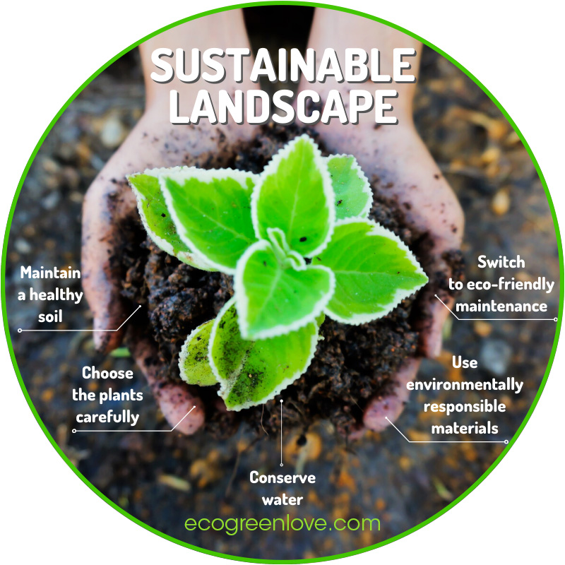 Sustainable Ideas for your Landscape Makeover | ecogreenlove