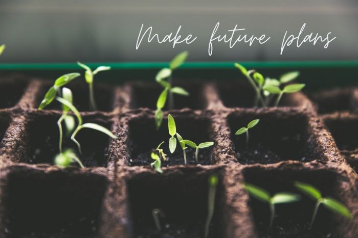 How to afford to Be Eco-Friendly while you’re Stuck at Home • Make future plans | ecogreenlove