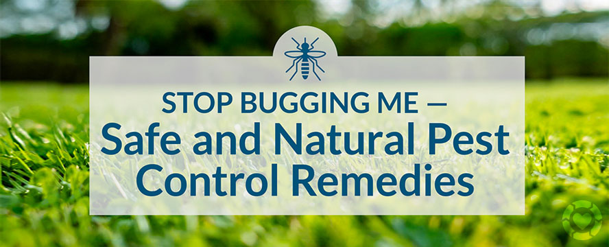 Safe and Natural Pest Control Remedies [Visual] | ecogreenlove