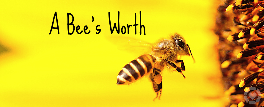A Bee's Worth [Visuals] | ecogreenlove