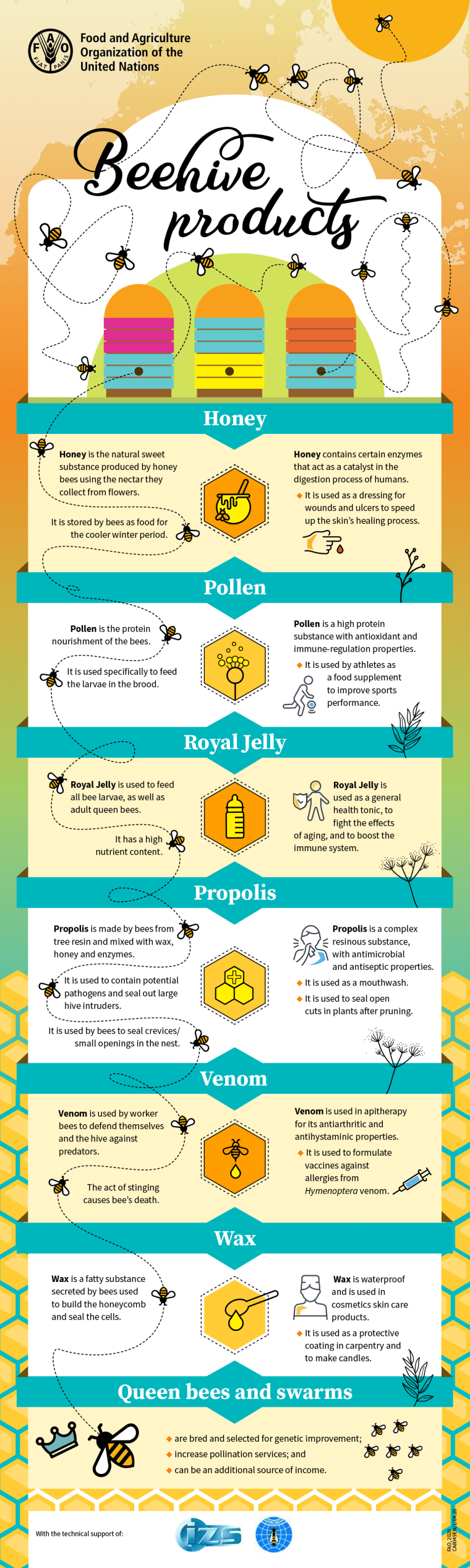 bees pollinators bee facts beehive products