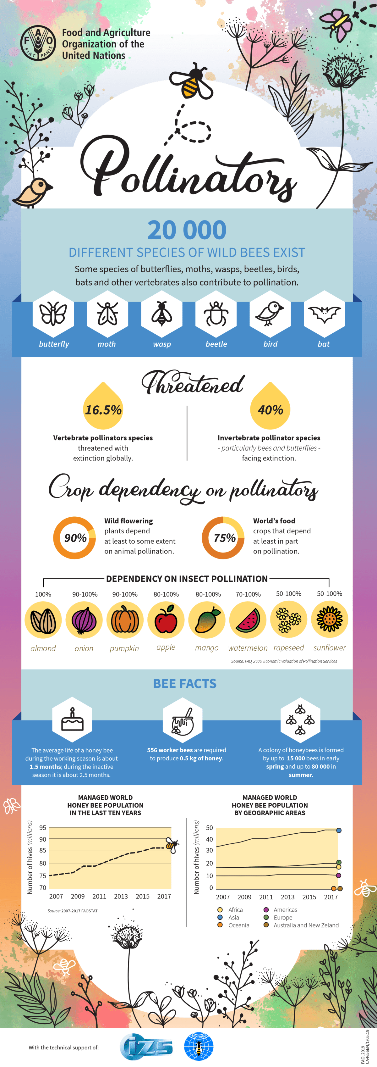 bees pollinators bee facts