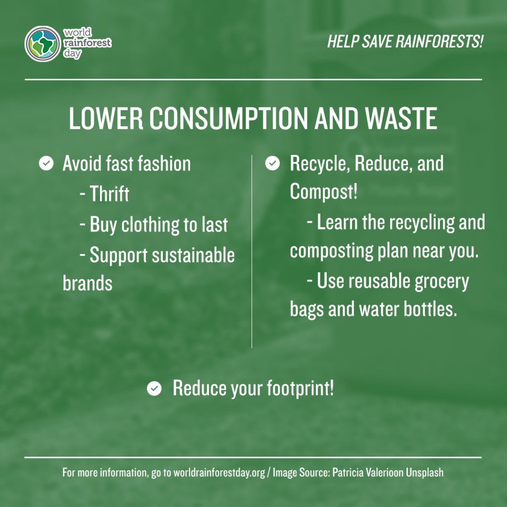 Save the Rainforests! [Tips] | ecogreenlove