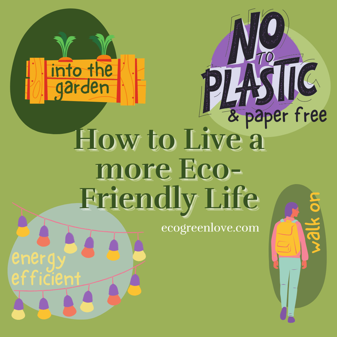 How to Live a more Eco-Friendly Life | ecogreenlove