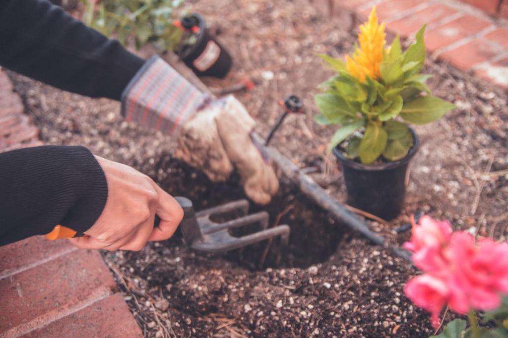 How to Live a more Eco-Friendly Life | ecogreenlove
