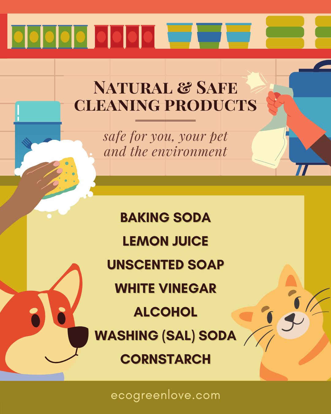 Eco-friendly house cleaning tips if you own a pet | ecogreenlove